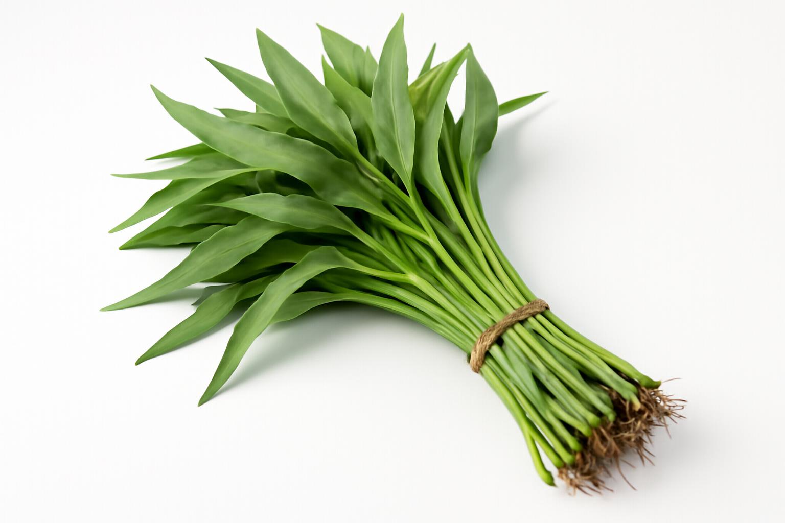 蕹菜 蕹菜